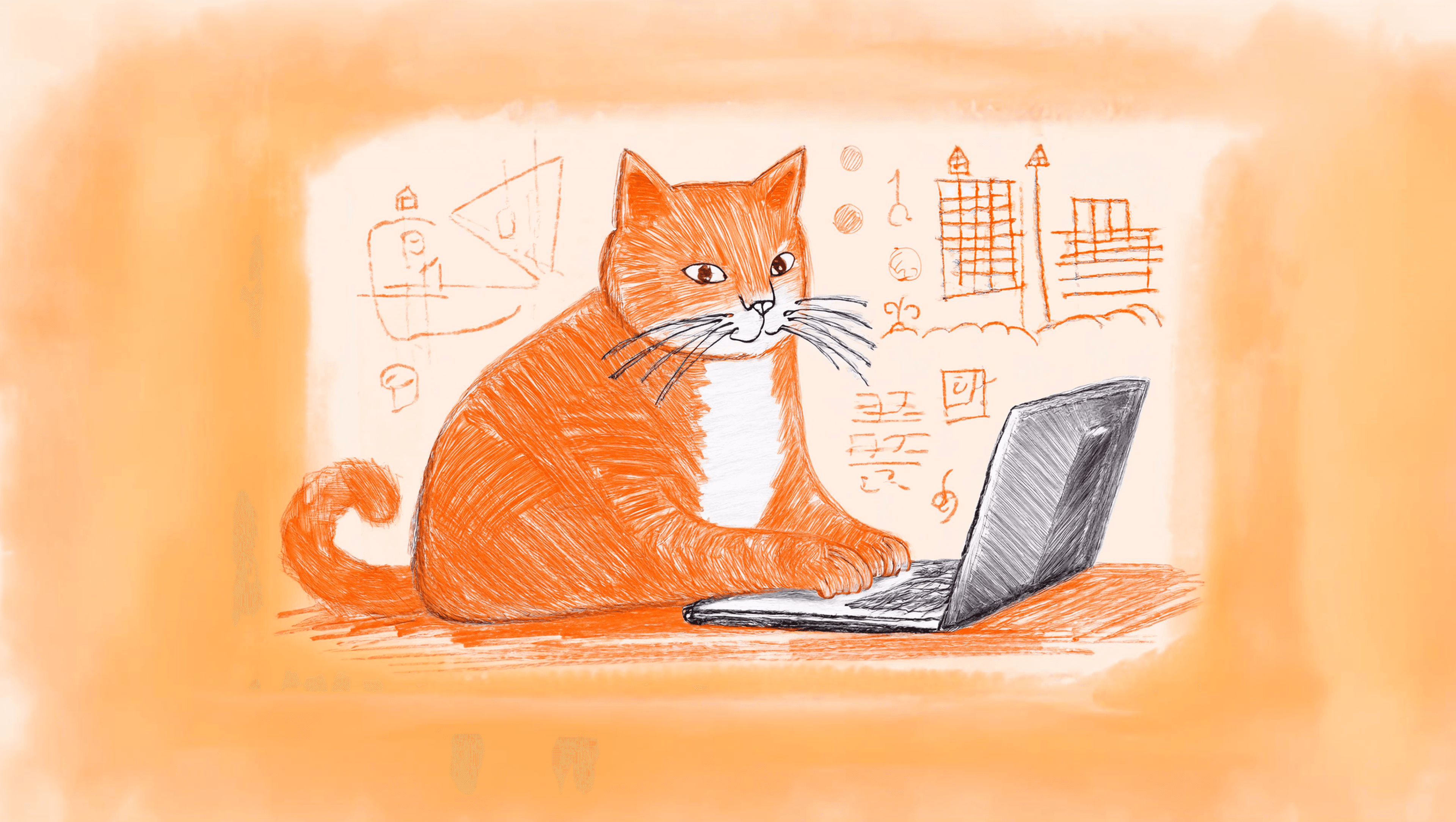 Firefly cat making code in the cat house with laptop, bg - orange color, happy and fun, select focus 2